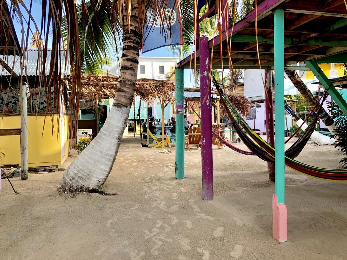 Tropical Oasis Hostel Caye Corker ภายนอก รูปภาพ