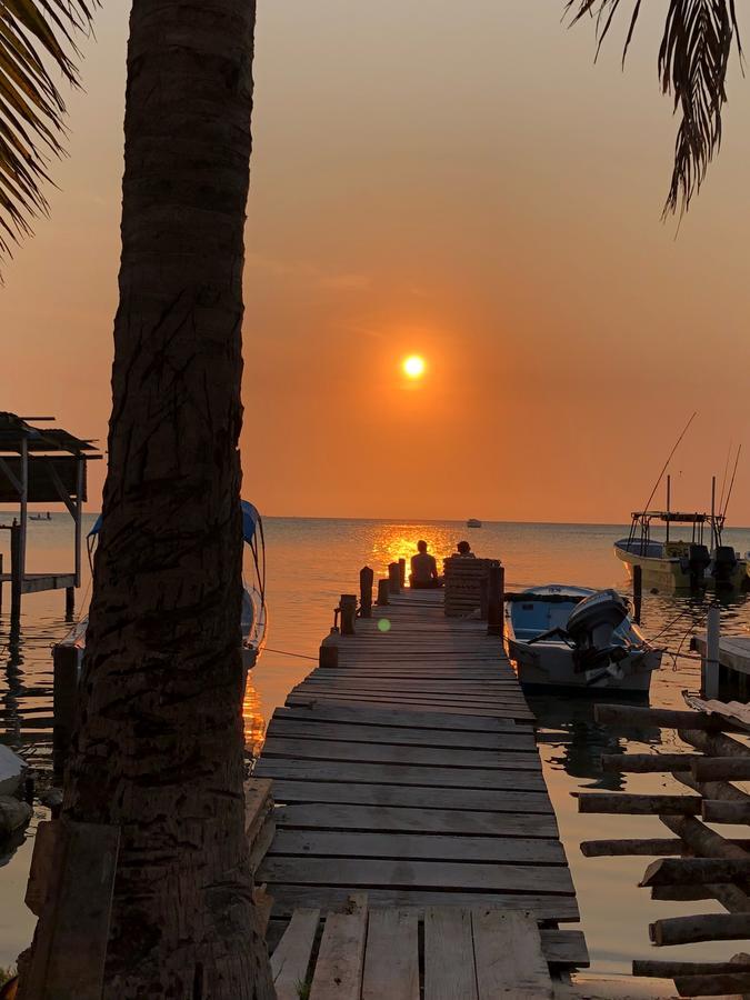Tropical Oasis Hostel Caye Corker ภายนอก รูปภาพ