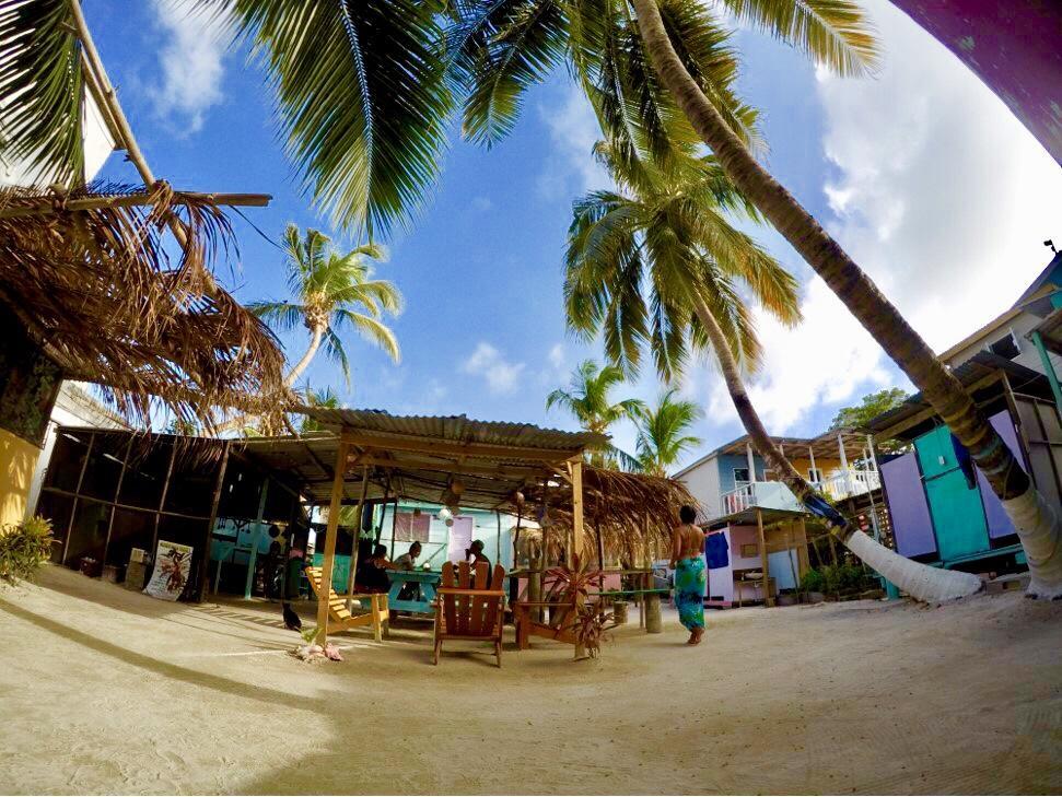 Tropical Oasis Hostel Caye Corker ภายนอก รูปภาพ